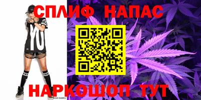 крисы Берёзовский