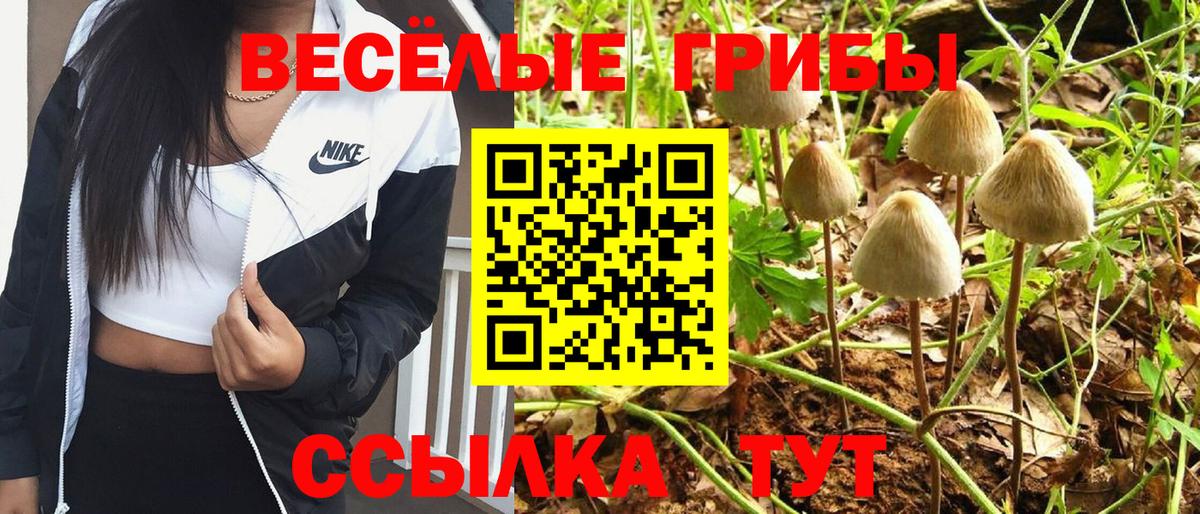 Псилоцибиновые грибы GOLDEN TEACHER Долгопрудный