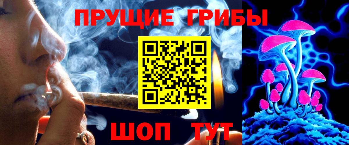 Псилоцибиновые грибы Psilocybe  Долгопрудный 