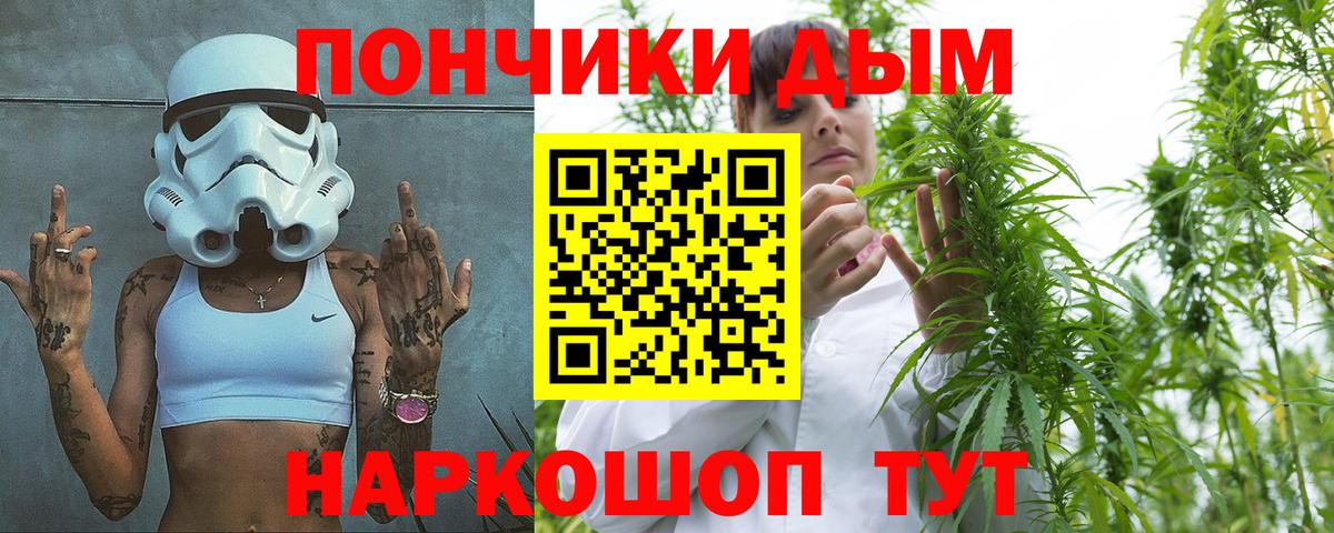 Шишки марихуана сатива Долгопрудный